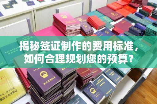 淮阴揭秘签证制作的费用标准，如何合理规划您的预算？